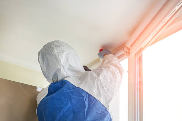 Mold Odor Removal Services in South Dennis, NJ